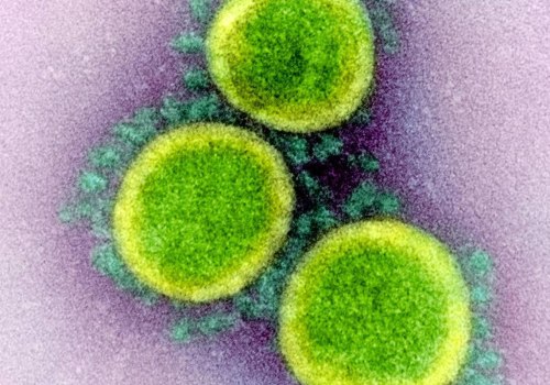 How Long Can the COVID-19 Virus Survive in the Air?